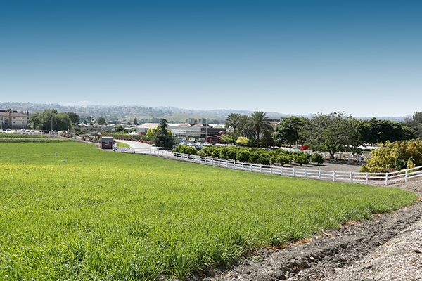 Kellogg Ranch